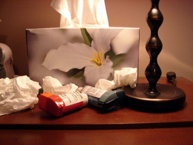 tissues